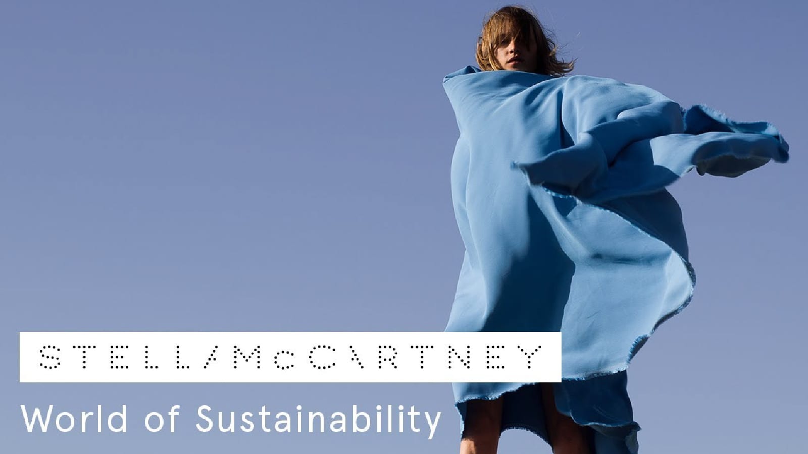 STELLA McCARTNEY Why This Designer Is Still Leading The Cruelty free Luxury Sector Seams for Dreams